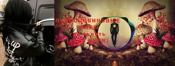 apvp Волоколамск
